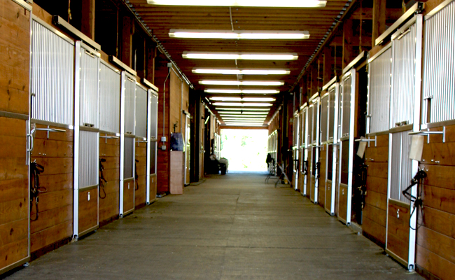 Stalls at Autumn Road Farm