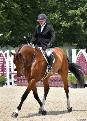 Quintos owned by Parvin Work (Sara Rhodes riding)