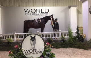 Emily Yslas at the World Equestrinan Center | April 2017